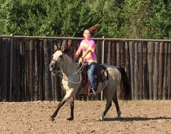 CHEST | 10 yr old | 14.2 Hands | Buckskin | Gelding | Quarter Horse - Image 2