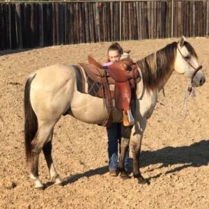 CHEST | 10 yr old | 14.2 Hands | Buckskin | Gelding | Quarter Horse