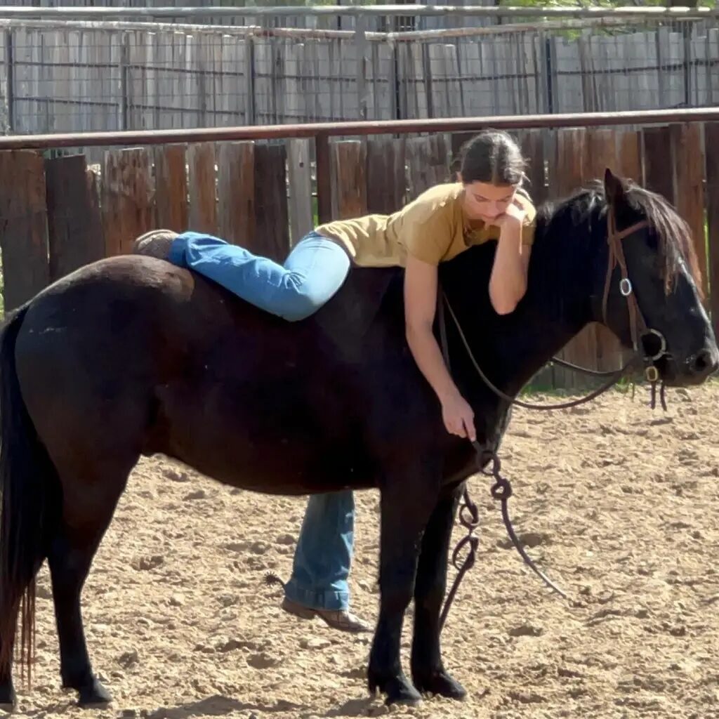 HUGO | 6 Yr old | 12.2 Hands | Black | Pony | Gelding